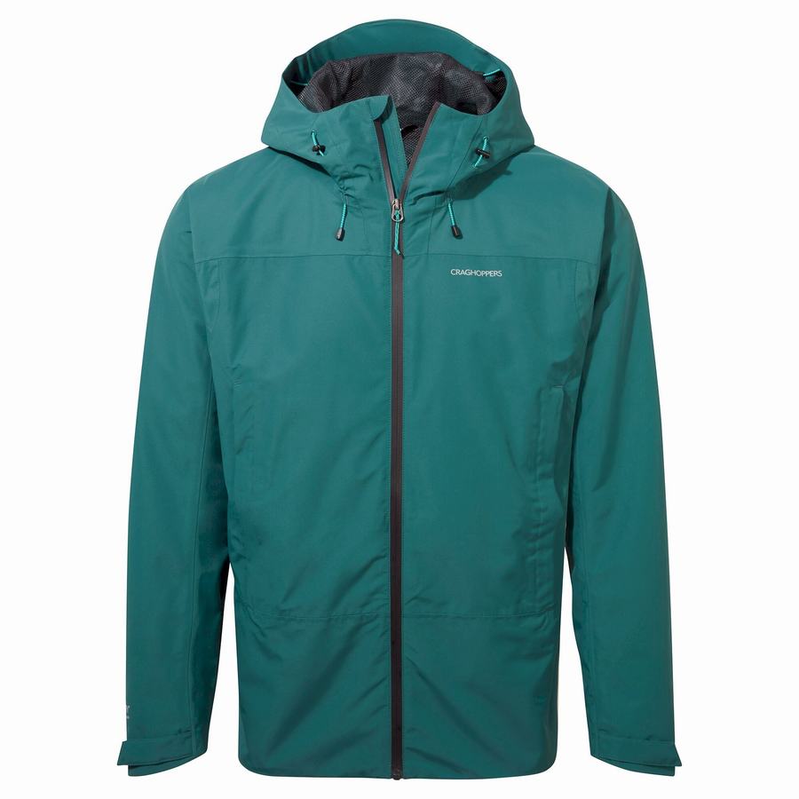 Chaquetas Craghoppers Creevey Hombre Verdes | PWR8296JD