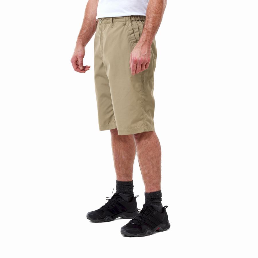 Bermudas Craghoppers Kiwi Long Hombre Kaki | FNK85JE