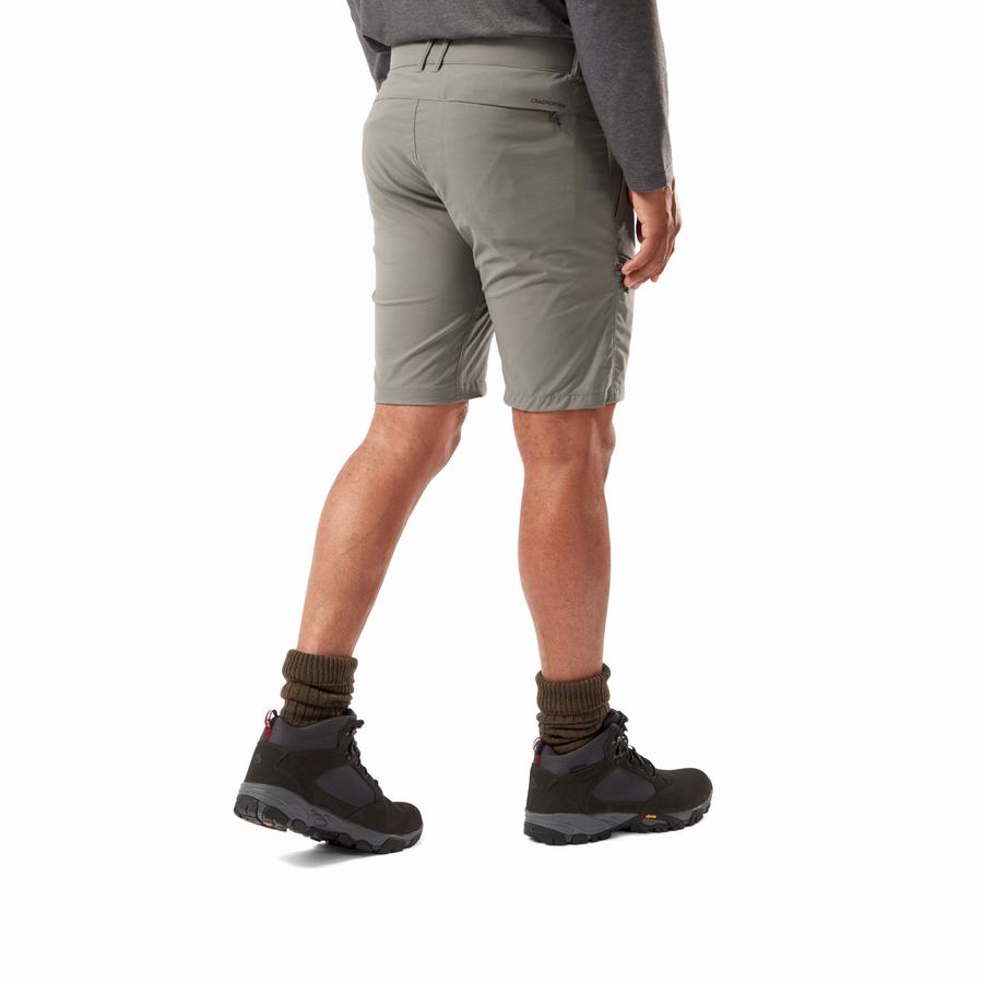 Bermudas Craghoppers NosiLife Pro Active Hombre Grises | FAW6050ER