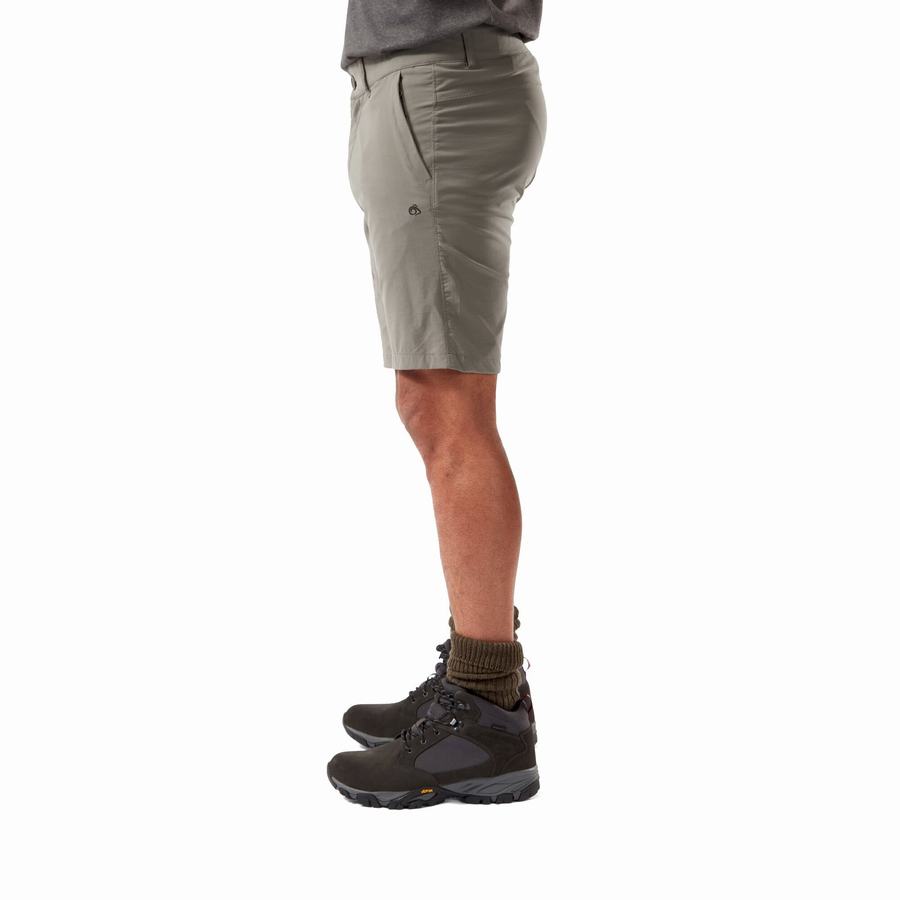 Bermudas Craghoppers NosiLife Pro Active Hombre Grises | FAW6050ER