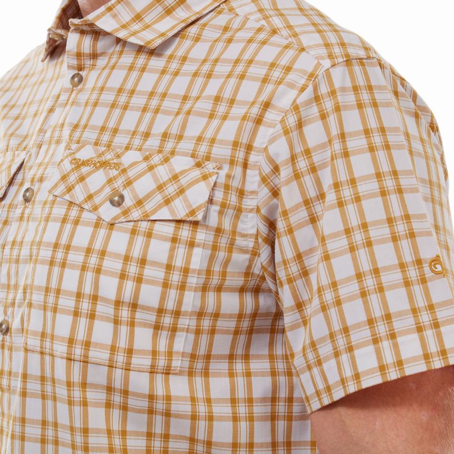 Camisas Craghoppers Murray Corta Sleeved Hombre Multicolor | MPP9543EW