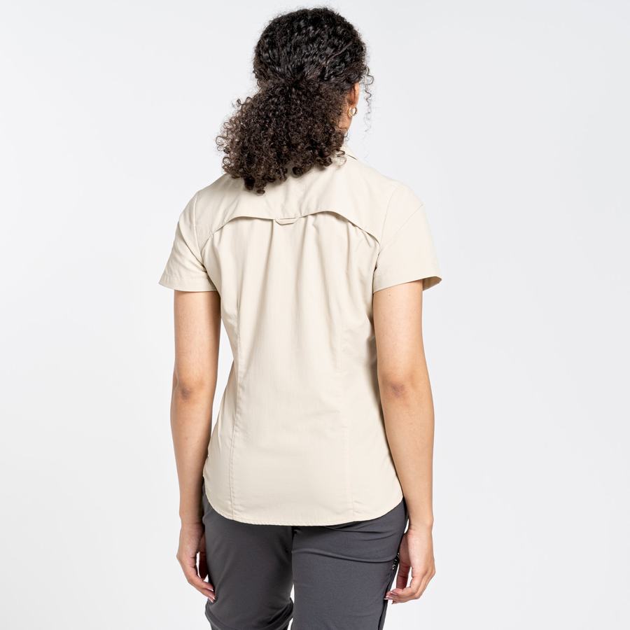 Camisas Craghoppers NosiLife Adventure II Corta Sleeved Mujer Marrom | UAR8346KA