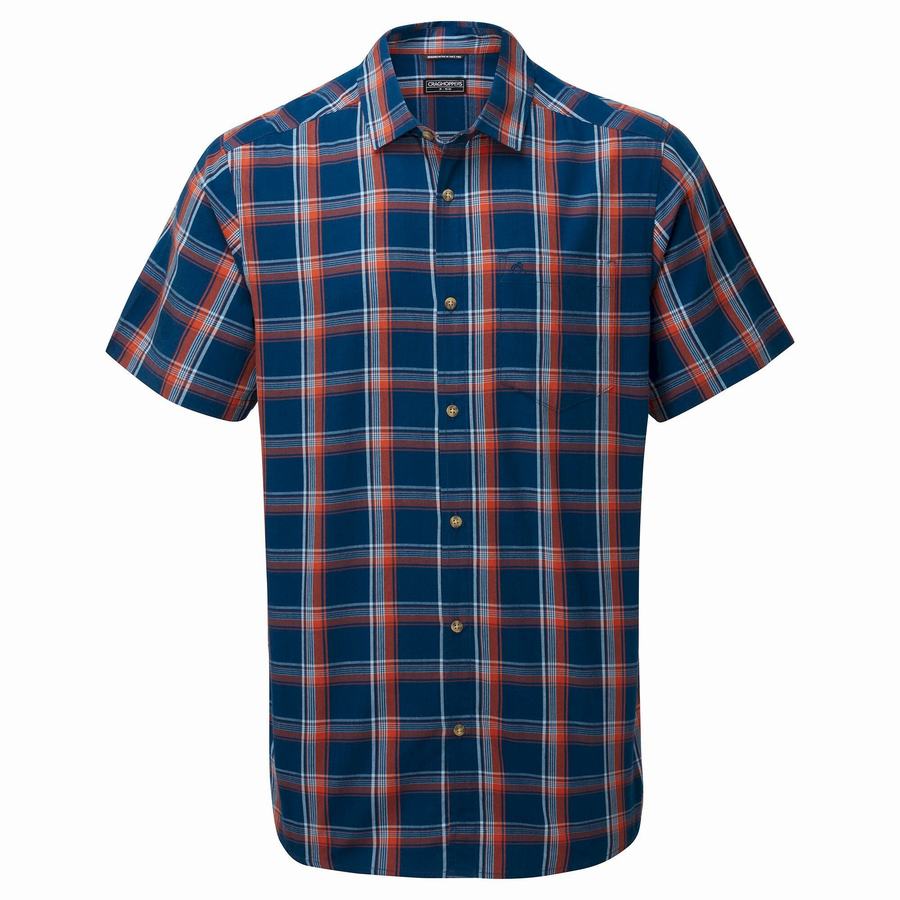 Camisas Craghoppers Rafie Corta Sleeved Check Hombre Azul Marino Azules | UBB8629PR
