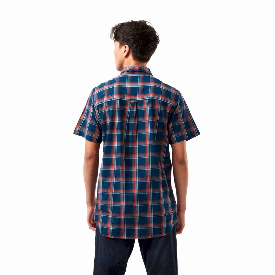 Camisas Craghoppers Rafie Corta Sleeved Check Hombre Azul Marino Azules | UBB8629PR