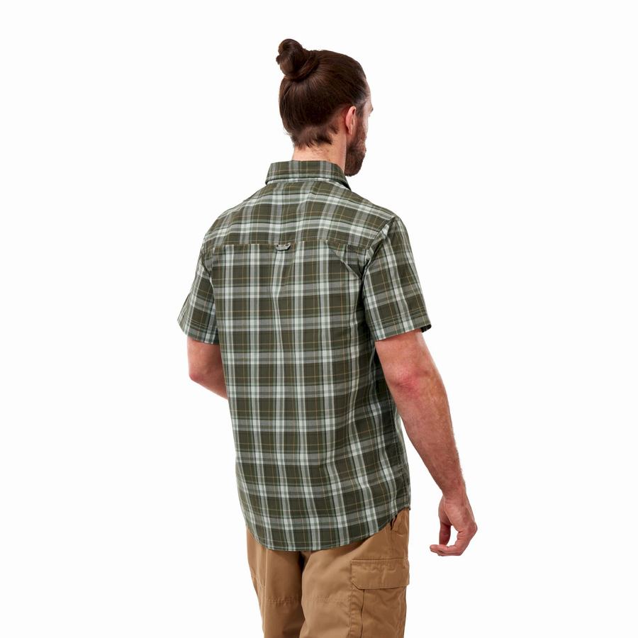 Camisas Craghoppers Vernon Corta Sleeved Hombre Verdes | JMG6078LV