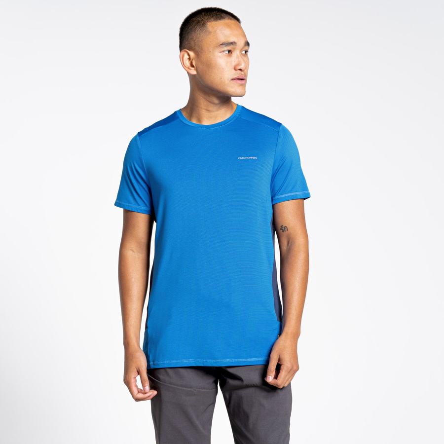 Camisetas Craghoppers Atmos Corta Sleeved Hombre Azules | JVY2848HU