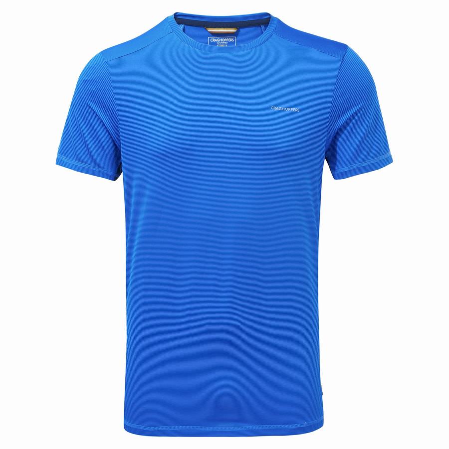 Camisetas Craghoppers Atmos Corta Sleeved Hombre Azules | JVY2848HU