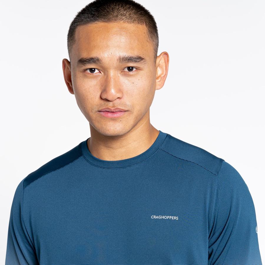 Camisetas Craghoppers Belardo Corta Sleeved Hombre Azul Marino Azules | NGQ8275KV