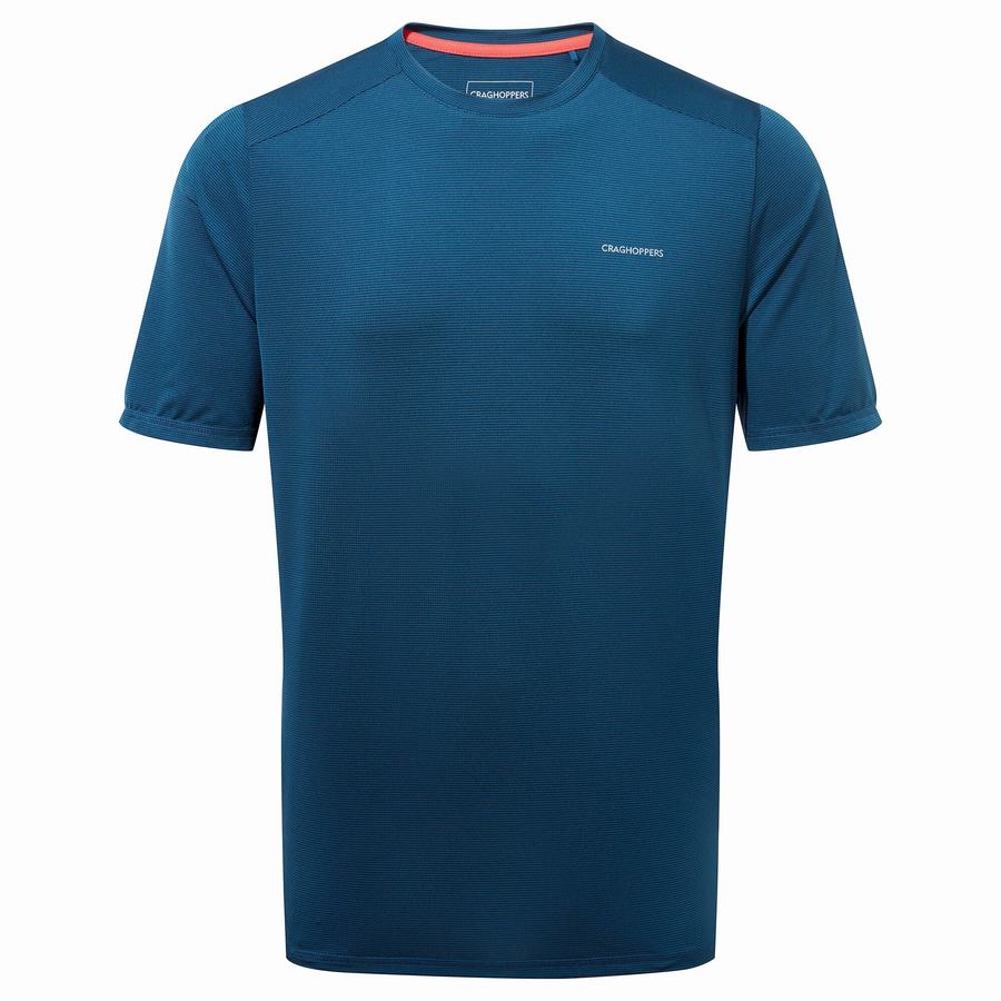 Camisetas Craghoppers Belardo Corta Sleeved Hombre Azul Marino Azules | NGQ8275KV