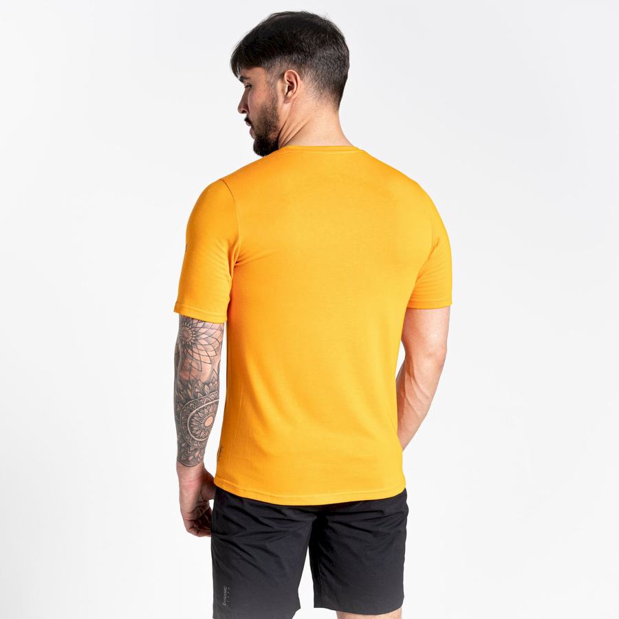 Camisetas Craghoppers Dynamic Corta Sleeved Hombre Naranjas | BWI1473TY