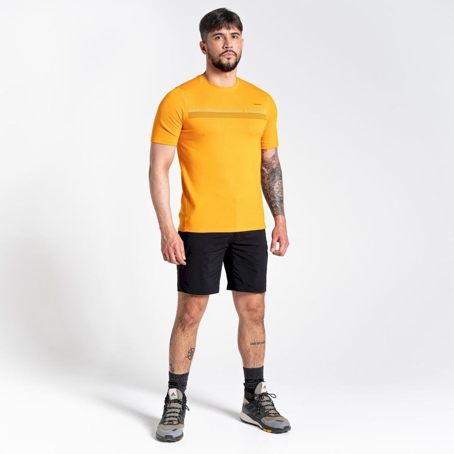 Camisetas Craghoppers Dynamic Corta Sleeved Hombre Naranjas | BWI1473TY