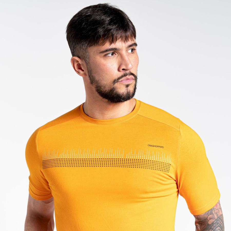 Camisetas Craghoppers Dynamic Corta Sleeved Hombre Naranjas | BWI1473TY
