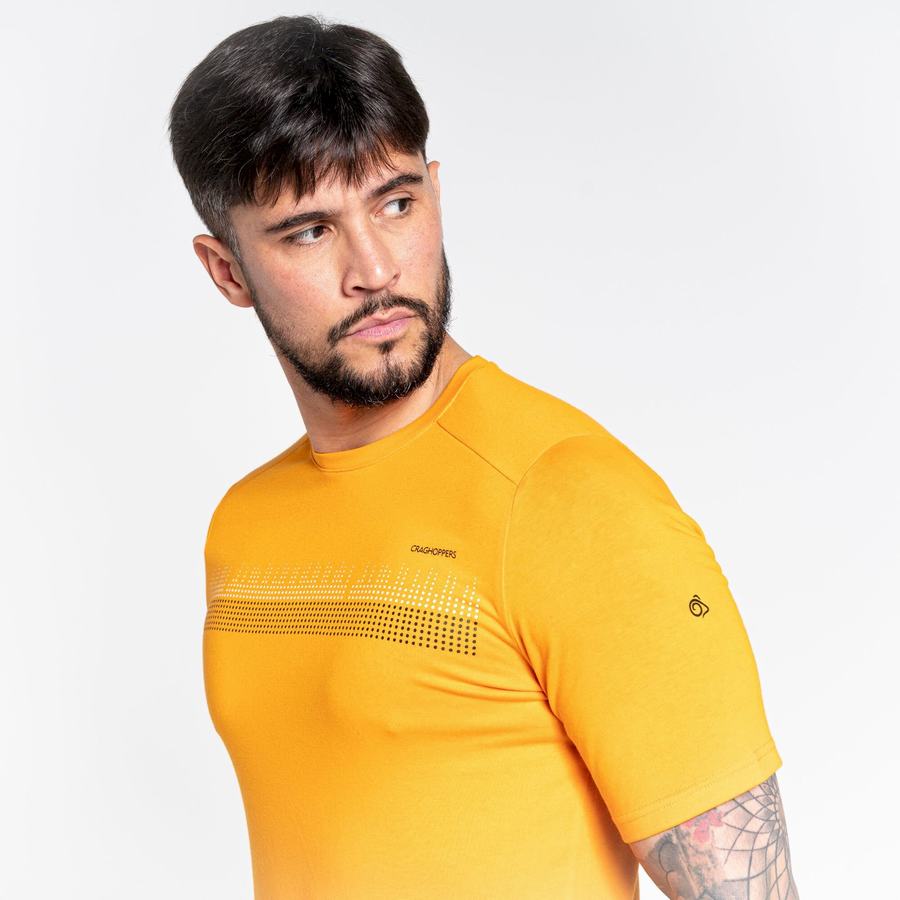 Camisetas Craghoppers Dynamic Corta Sleeved Hombre Naranjas | BWI1473TY