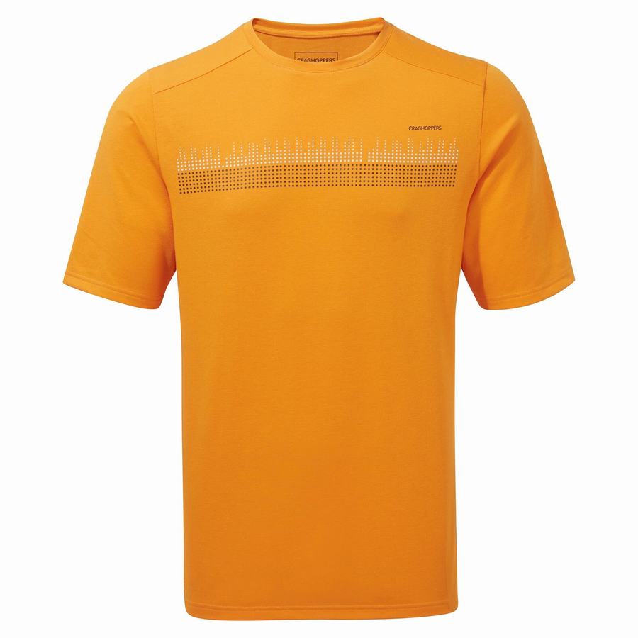 Camisetas Craghoppers Dynamic Corta Sleeved Hombre Naranjas | BWI1473TY