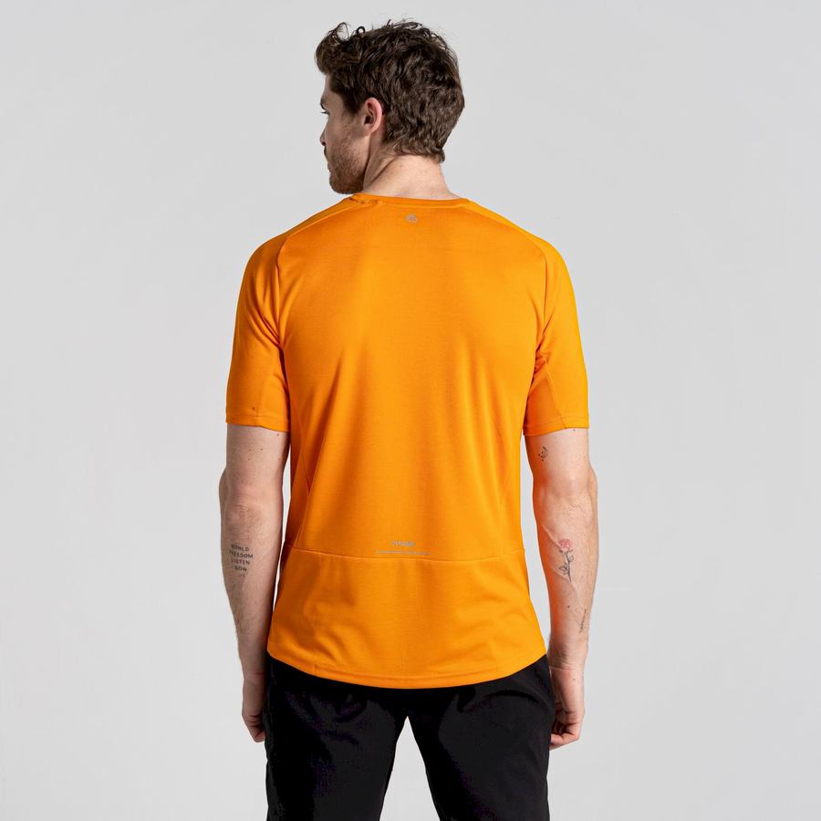 Camisetas Craghoppers Dynamic Pro Corta Sleeved Hombre Naranjas | FAY10097LE