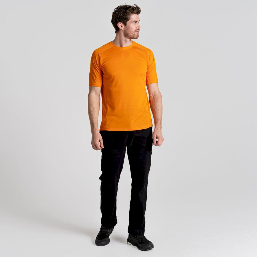 Camisetas Craghoppers Dynamic Pro Corta Sleeved Hombre Naranjas | FAY10097LE