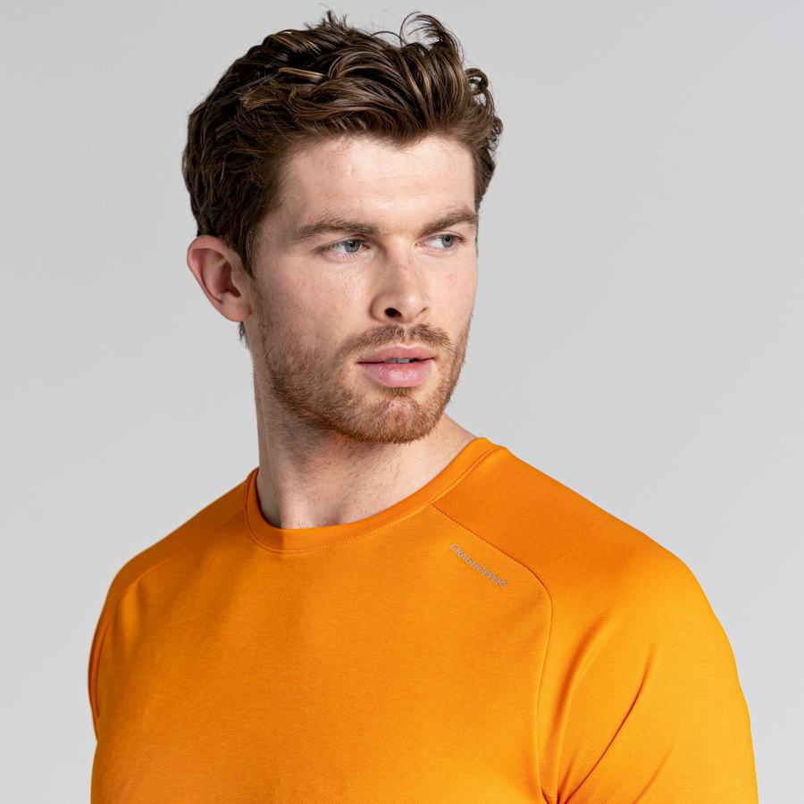 Camisetas Craghoppers Dynamic Pro Corta Sleeved Hombre Naranjas | FAY10097LE