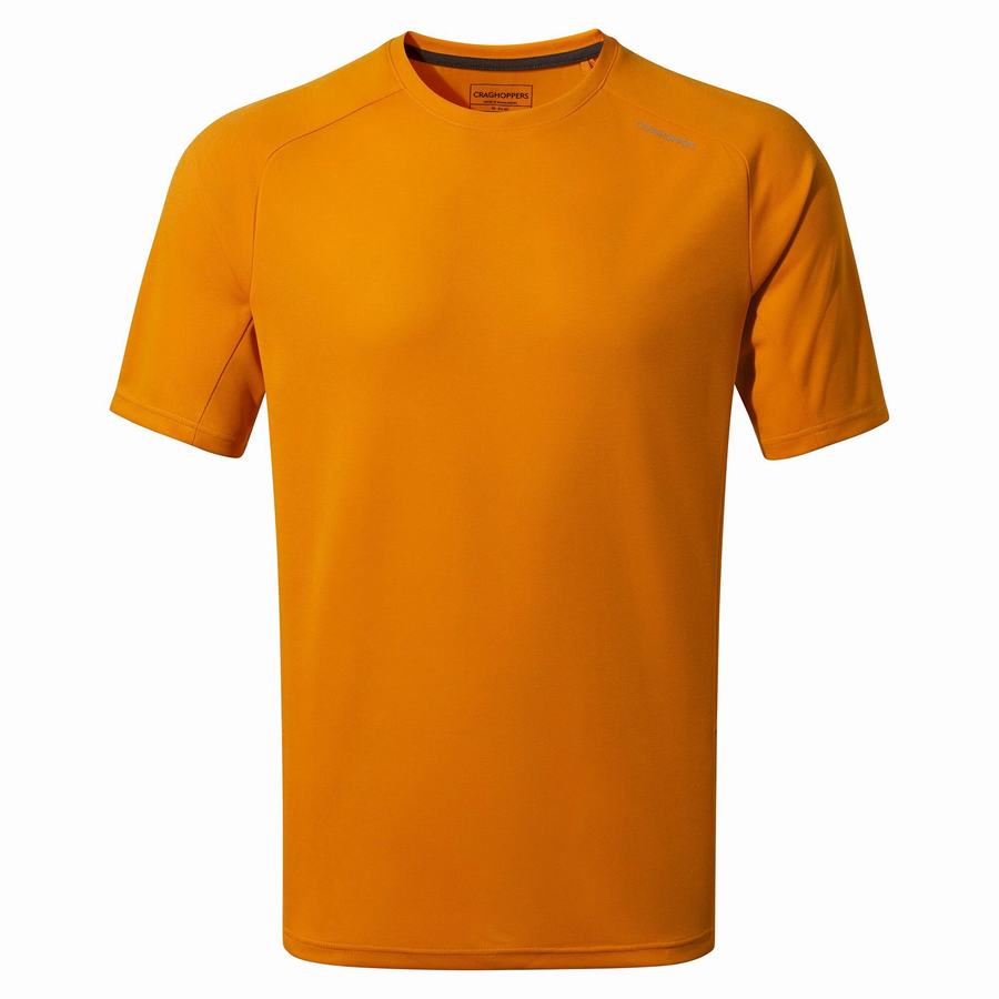 Camisetas Craghoppers Dynamic Pro Corta Sleeved Hombre Naranjas | FAY10097LE