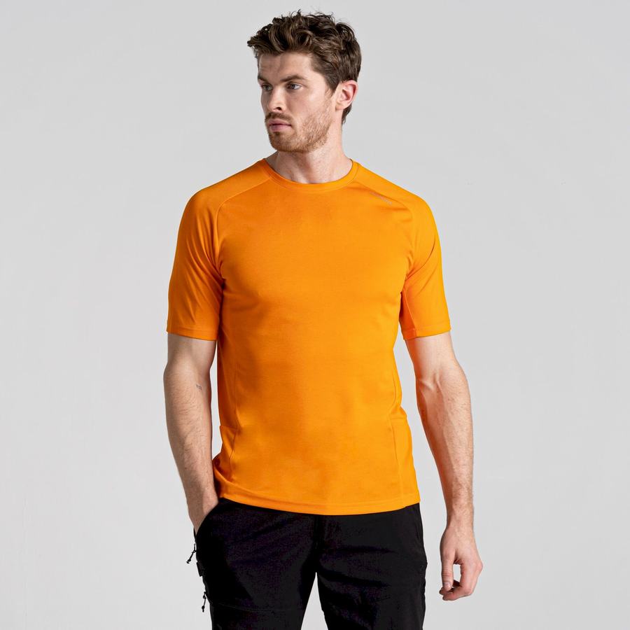 Camisetas Craghoppers Dynamic Pro Corta Sleeved Hombre Naranjas | FAY10097LE