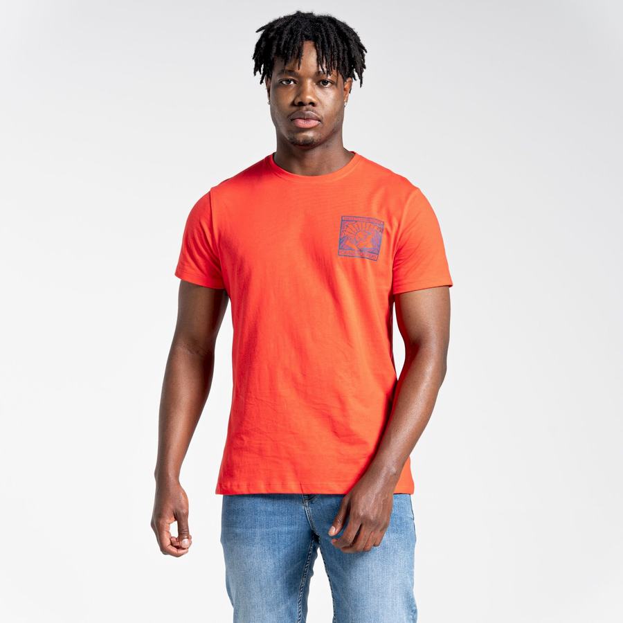 Camisetas Craghoppers Lugo Corta Sleeved Hombre Naranjas Rojos | CSD3558KP