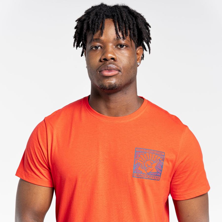 Camisetas Craghoppers Lugo Corta Sleeved Hombre Naranjas Rojos | CSD3558KP