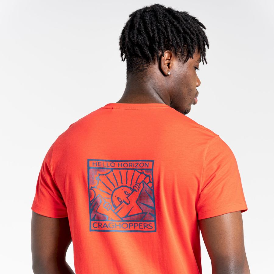 Camisetas Craghoppers Lugo Corta Sleeved Hombre Naranjas Rojos | CSD3558KP