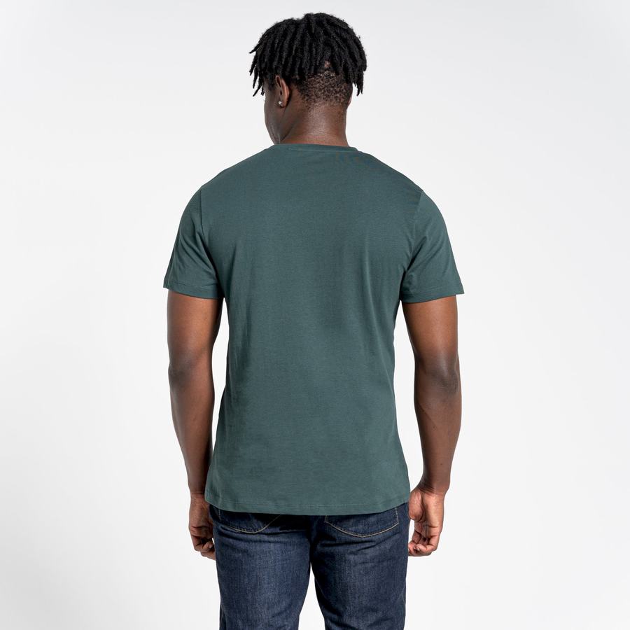 Camisetas Craghoppers Lugo Corta Sleeved Hombre Verdes Claro | UNW1359EW