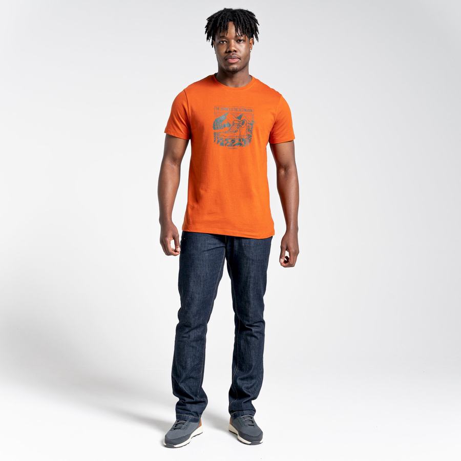 Camisetas Craghoppers Lugo Corta Sleeved Hombre Naranjas | WJF5266ND