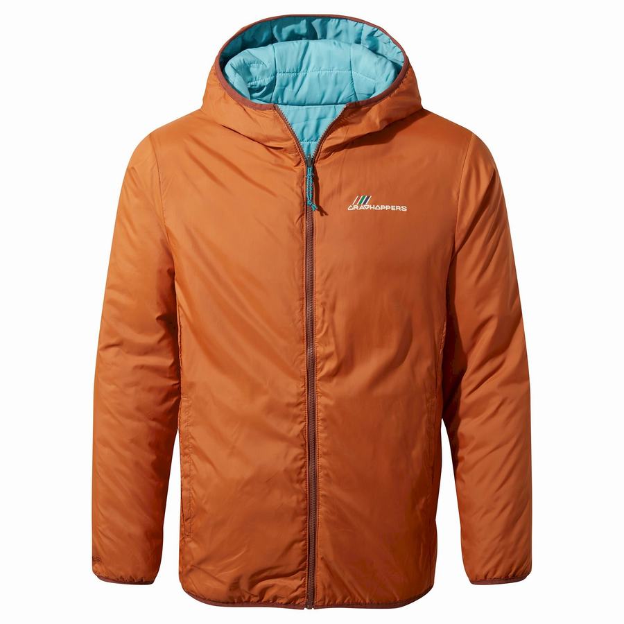 Chaquetas Craghoppers Cameo CompressLite Encapuchado Hombre Azules | CVL3729DZ