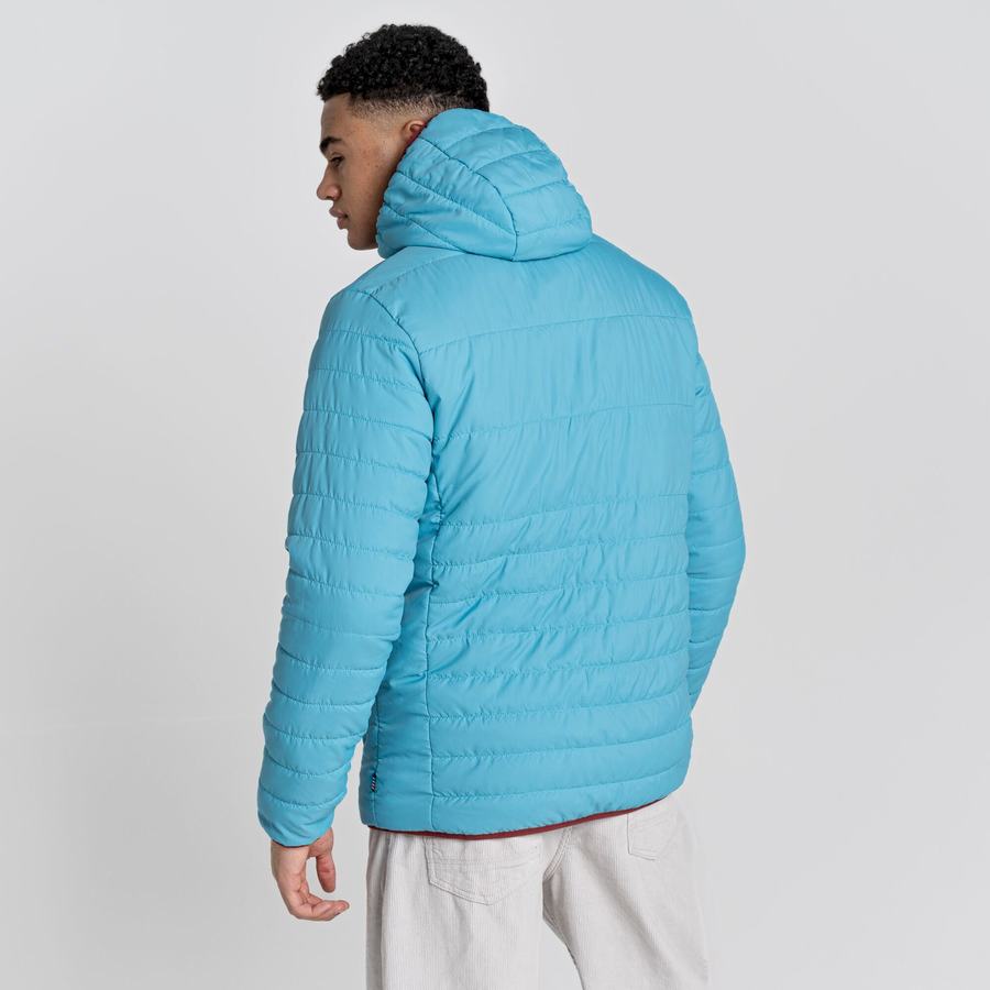 Chaquetas Craghoppers Cameo CompressLite Encapuchado Hombre Azules | CVL3729DZ