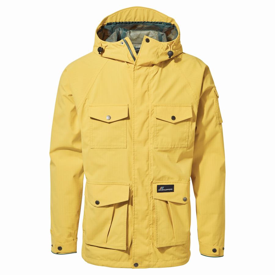 Chaquetas Craghoppers Canyon Hombre Amarillos | UUO4916GH