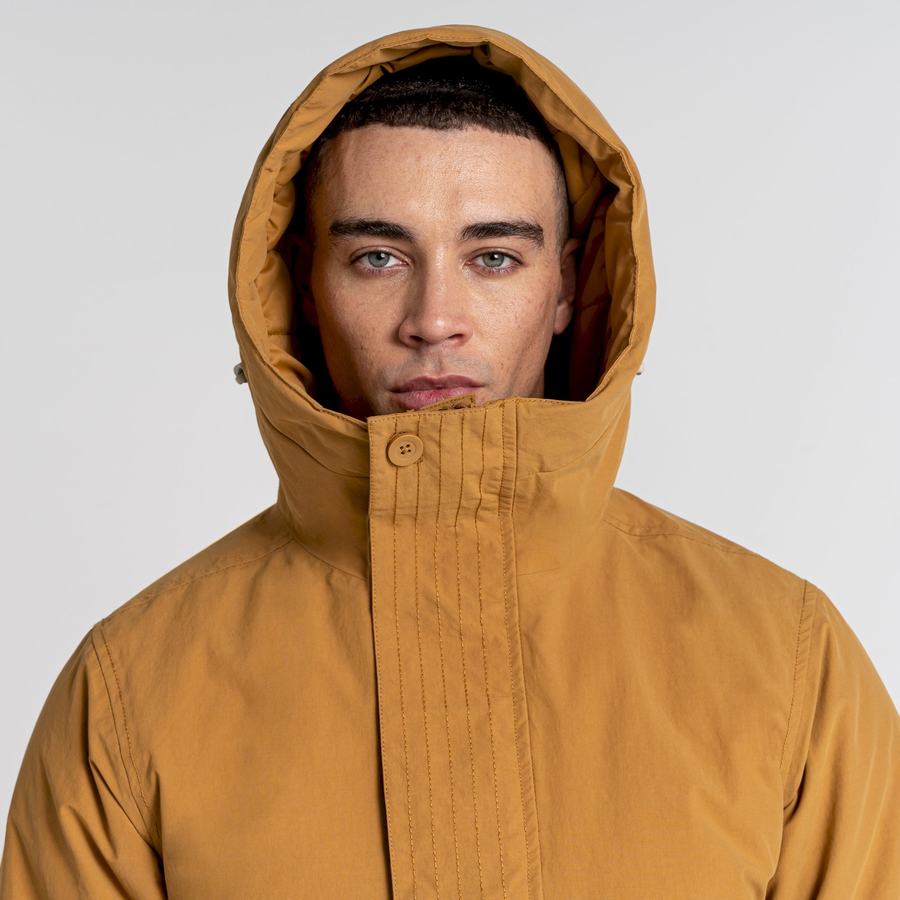 Chaquetas Craghoppers Dunrobin Insulated Hombre Grises Marrom | RKW2039KY