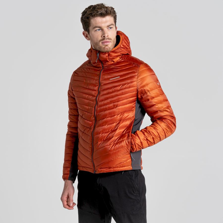 Chaquetas Craghoppers ExpoLite Insulated Encapuchado Hombre Naranjas | LRL3548XO