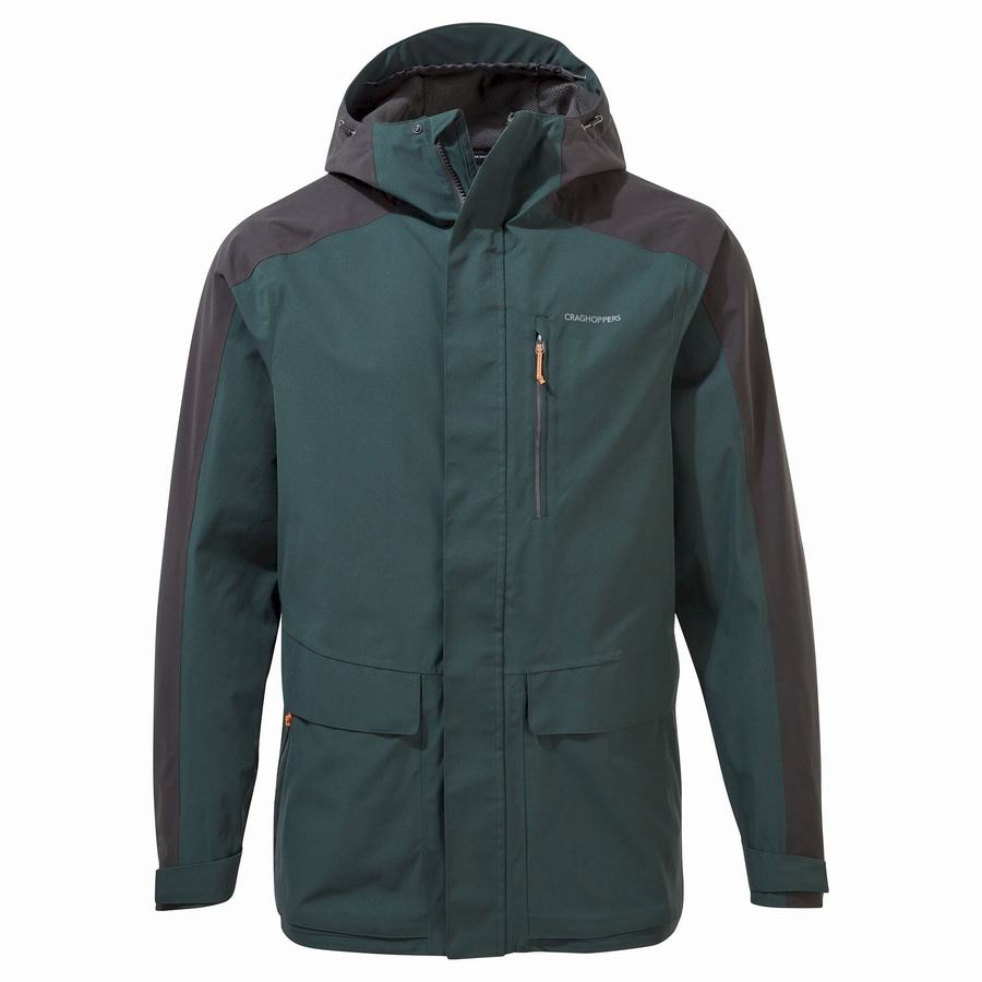 Chaquetas Craghoppers Impermeables Lorton Hombre Verdes | ZKQ2053IA