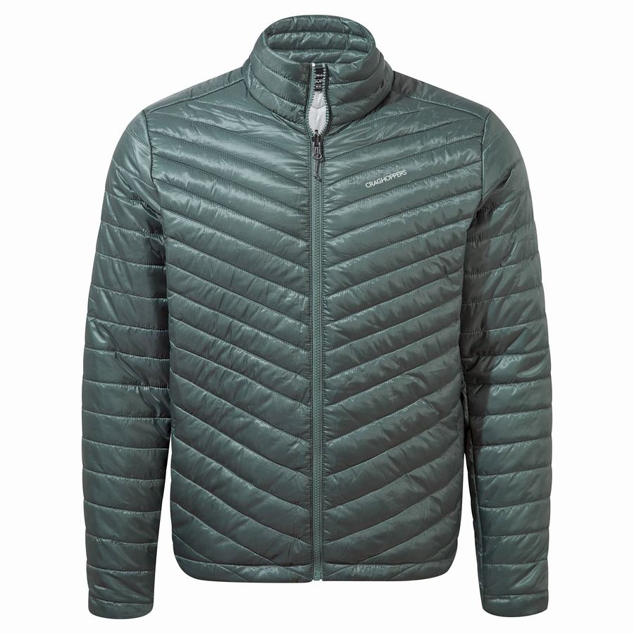 Chaquetas Craghoppers Lorton Pro 3 in 1 Hombre Grises Marrom | VNF8389SG