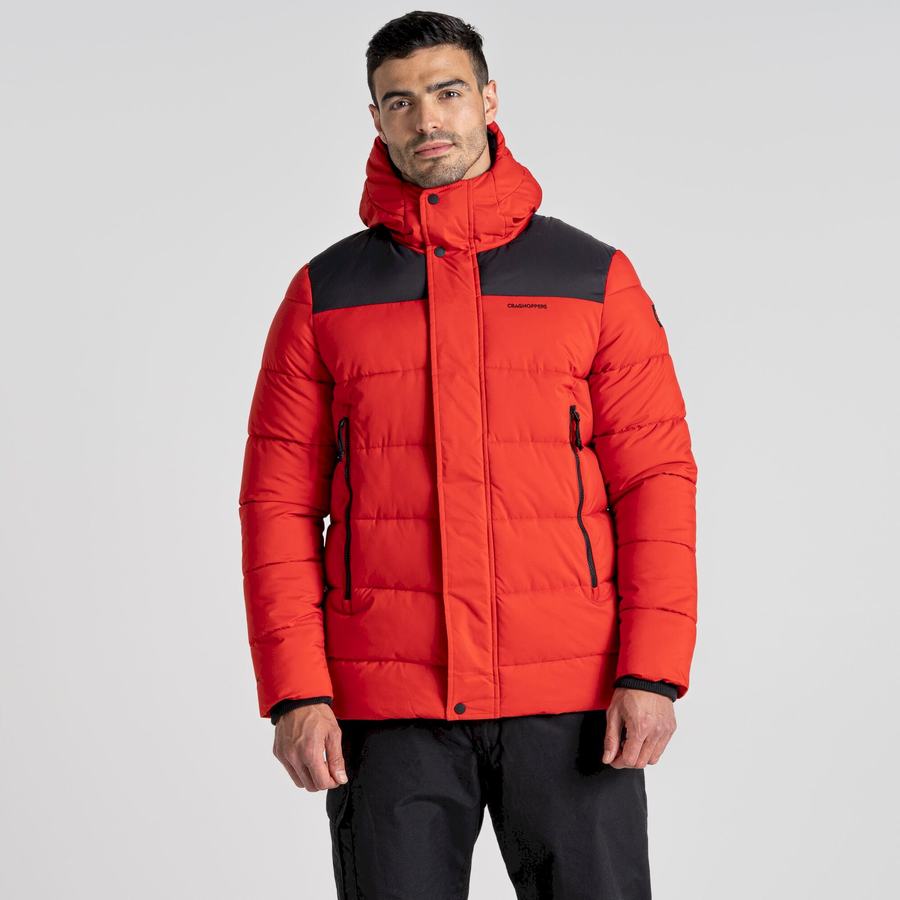 Chaquetas Craghoppers Sutherland Insulated Encapuchado Hombre Rojos Negros | XPF4014ZD