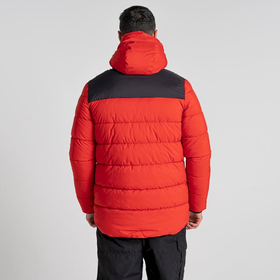 Chaquetas Craghoppers Sutherland Insulated Encapuchado Hombre Rojos Negros | XPF4014ZD