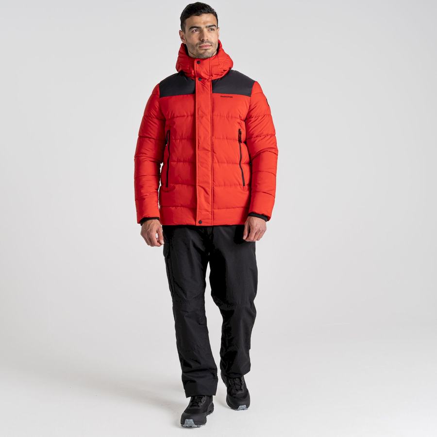 Chaquetas Craghoppers Sutherland Insulated Encapuchado Hombre Rojos Negros | XPF4014ZD