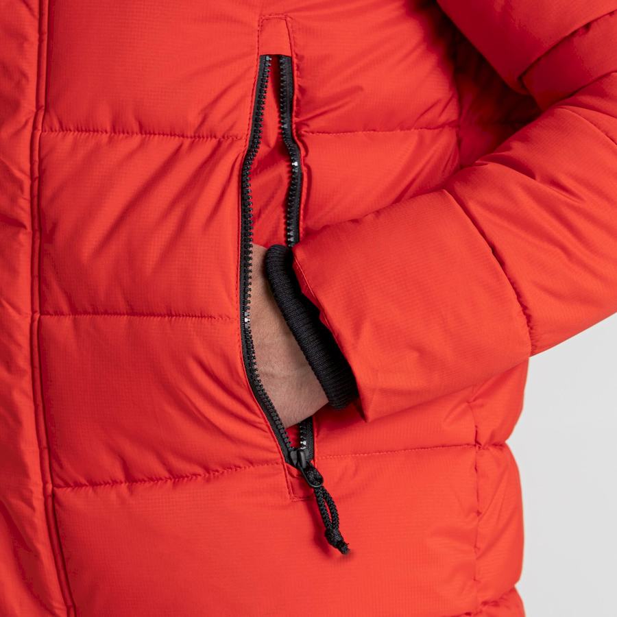 Chaquetas Craghoppers Sutherland Insulated Encapuchado Hombre Rojos Negros | XPF4014ZD