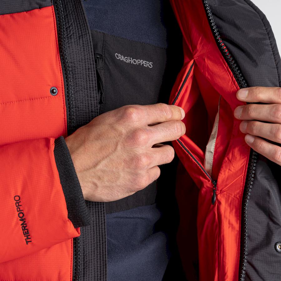 Chaquetas Craghoppers Sutherland Insulated Encapuchado Hombre Rojos Negros | XPF4014ZD