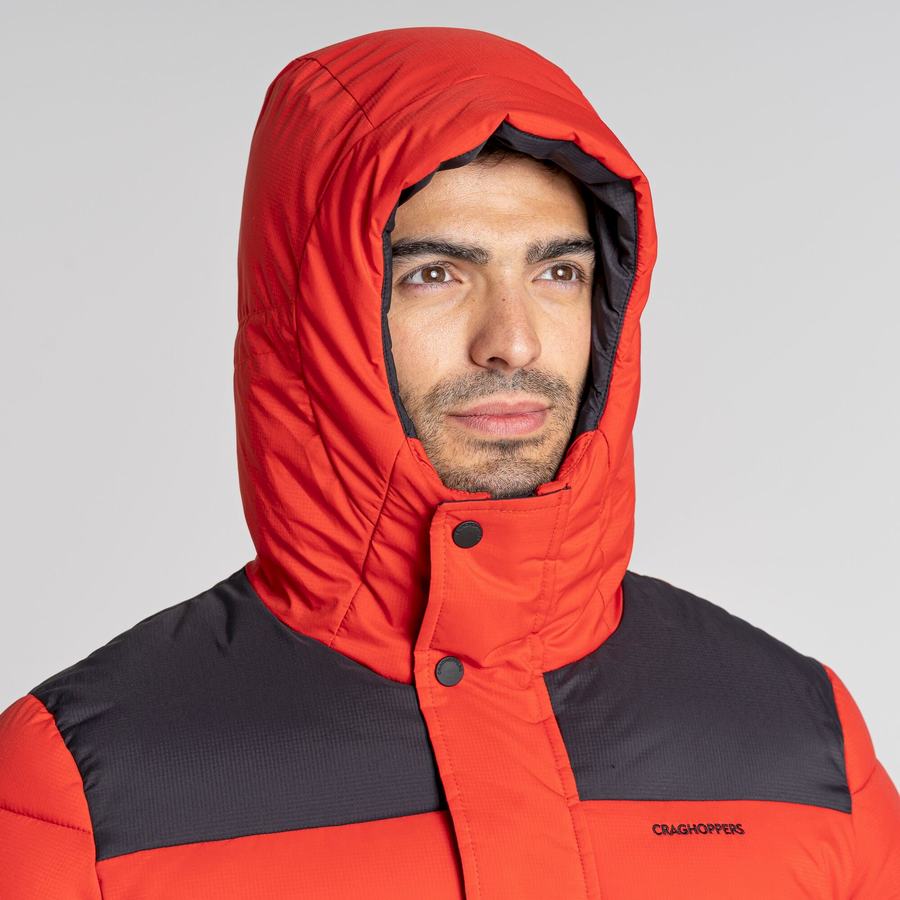 Chaquetas Craghoppers Sutherland Insulated Encapuchado Hombre Rojos Negros | XPF4014ZD